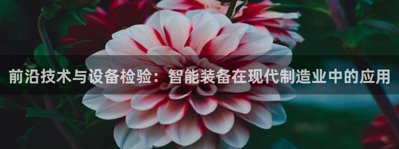 九游会官方网站中心