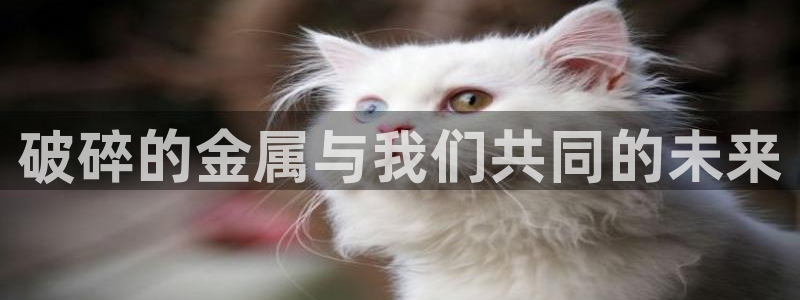 九游会注册网址