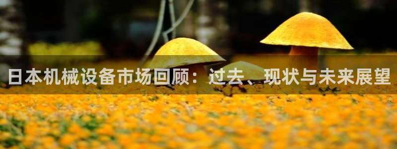 九游会ag老哥俱乐部入口