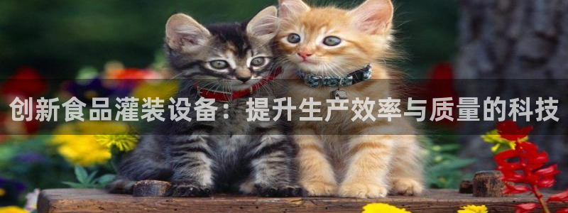 九游会平台最强