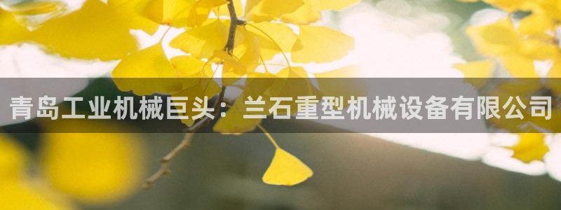 九游会网址是什么情况