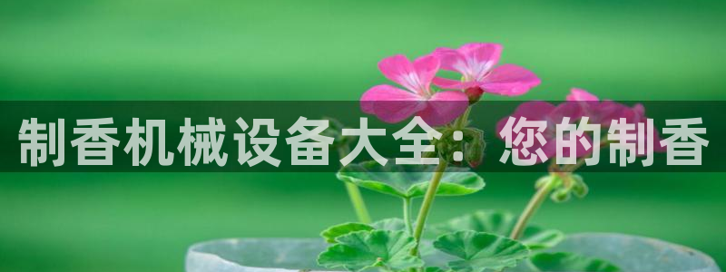 ag九游会app下载版官网正版